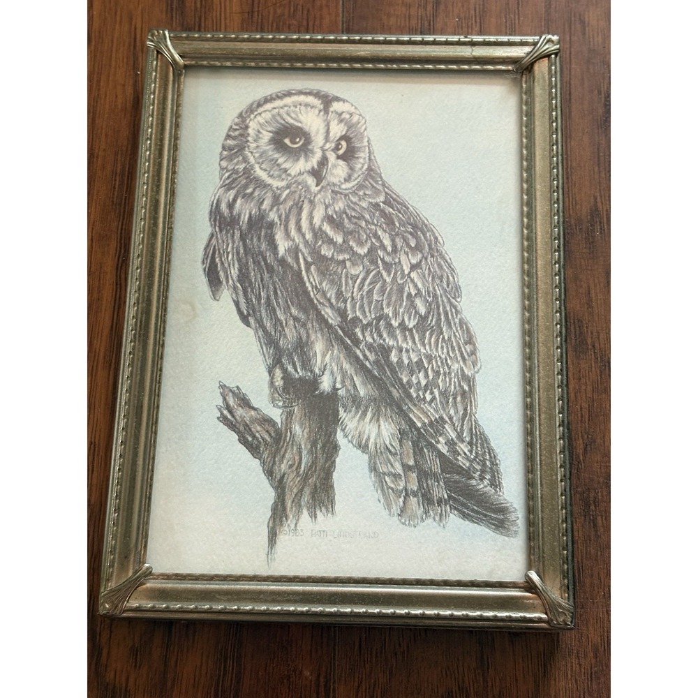Patti Lindstrand  "Brown owl"  Print.‎ 1983 5" X 7" Brass Frame